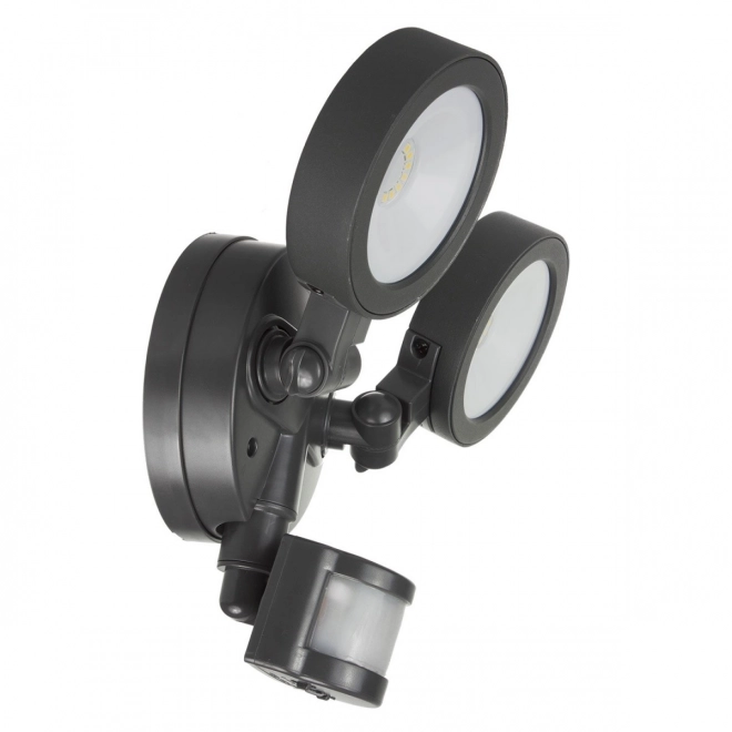 Wall LED Light with Motion Sensor