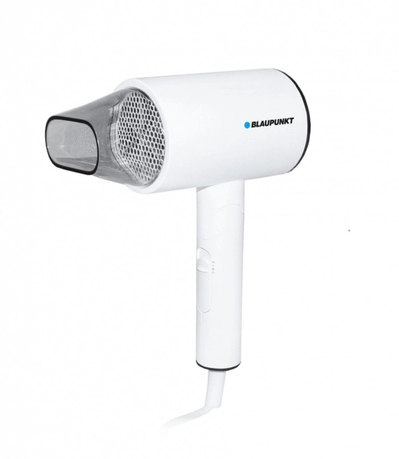 Hair Dryer with Ionization Function