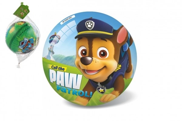 Paw Patrol Ball