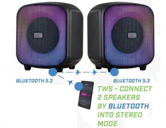 Bluetooth Speaker With FM/USB Powercube 500