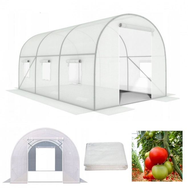 Garden Greenhouse Tunnel 3x2x2 m, Year-Round Use, Metal Frame, White Film