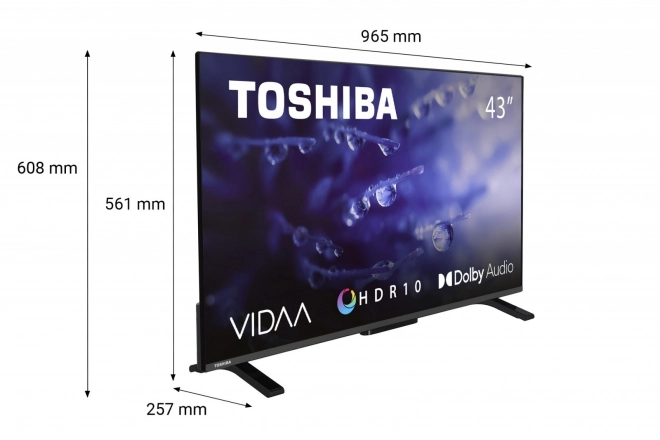 43" LED TV 43LV2E63DG