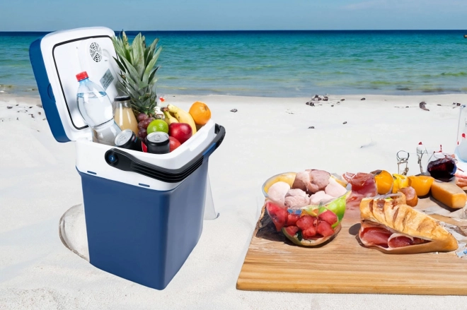 Portable Car Cooler Box with Heating Function, 29L
