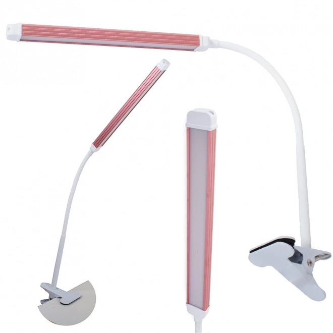 Wireless LED Desk Lamp with Organizer