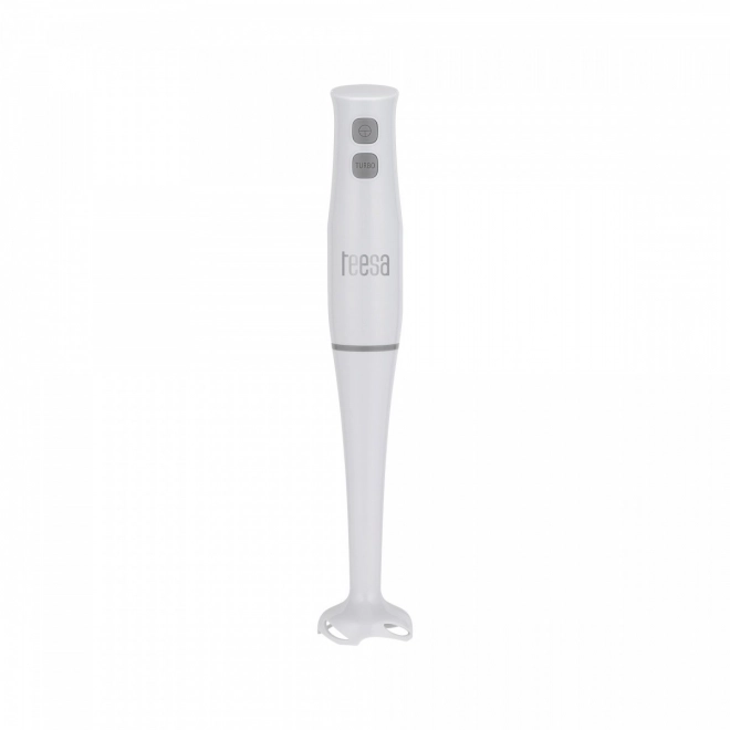 Frullatore ad immersione Teesa 400W