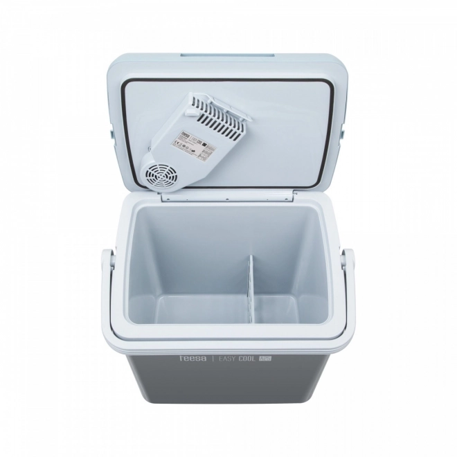Portable Fridge with Cooling and Heating