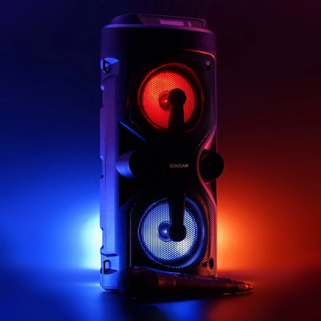 Bluetooth Speaker Harmony with Karaoke Function