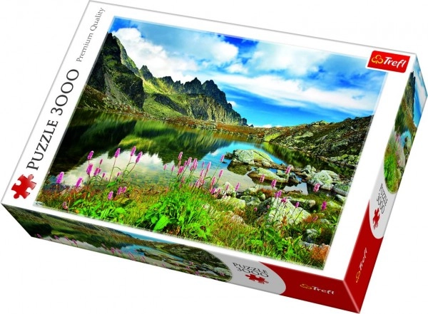 3000 pieces for a real challenge