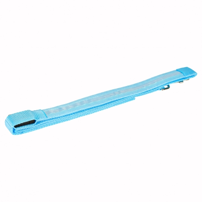 Leuchtende LED-Hundeleine Blau