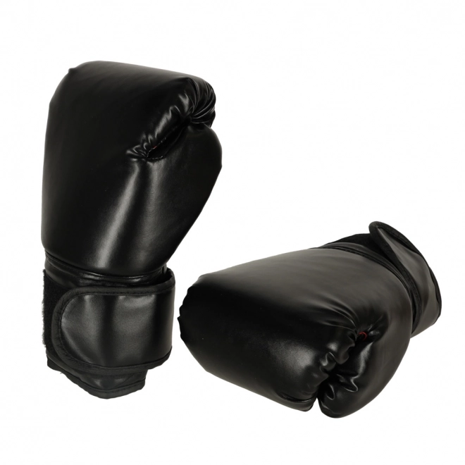 Boxing Wall Pad with Music Trainer