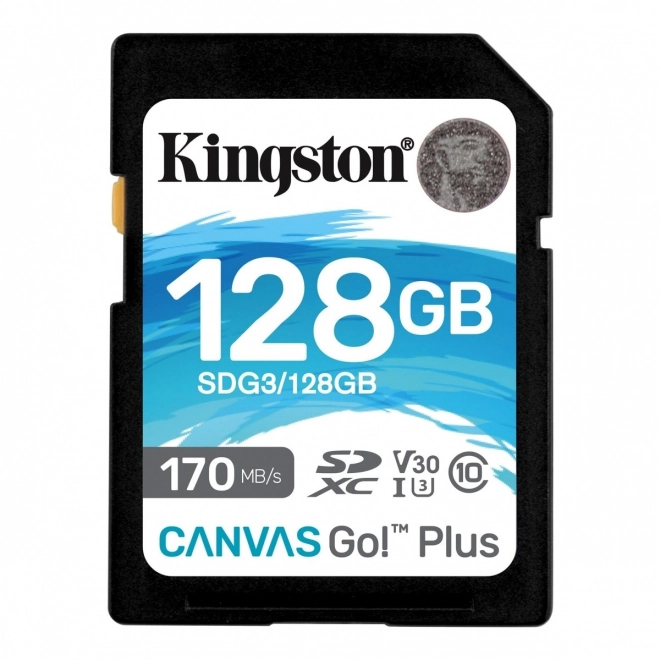 128GB Memory Card SD Canvas Go Plus