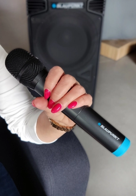 Wireless UHF Microphone