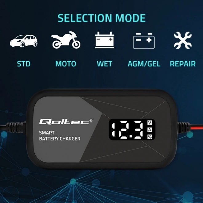 Intelligent Microprocessor Battery Charger 12V 2A with Cell Regeneration