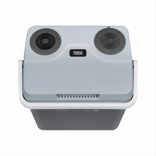 Portable Fridge with Heating Function 25L