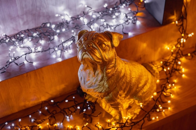Lampadine LED a grappolo Twinkly 400 AWW