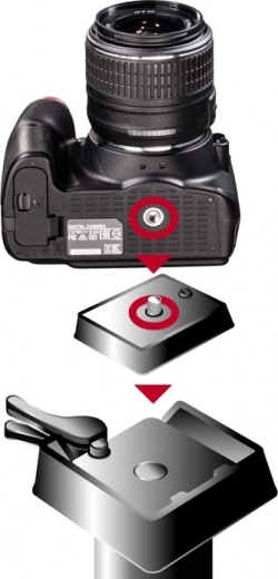 Compatibility with various tripods