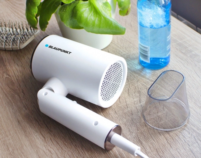 Hair Dryer with Ionization Function