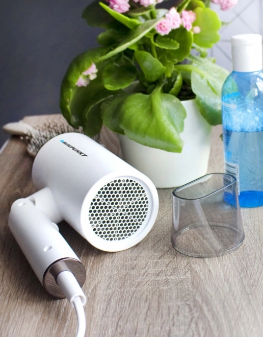 Hair Dryer with Ionization Function