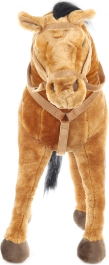 Suitable for Young and Older Kids