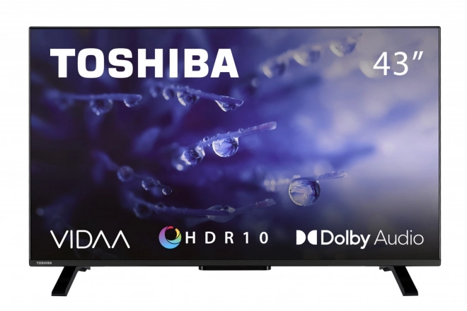 43" LED TV 43LV2E63DG