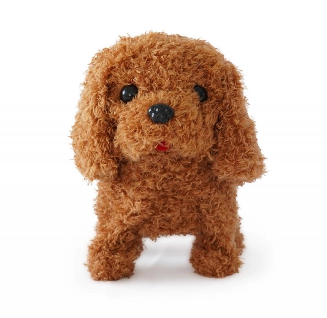 Adorable play companion