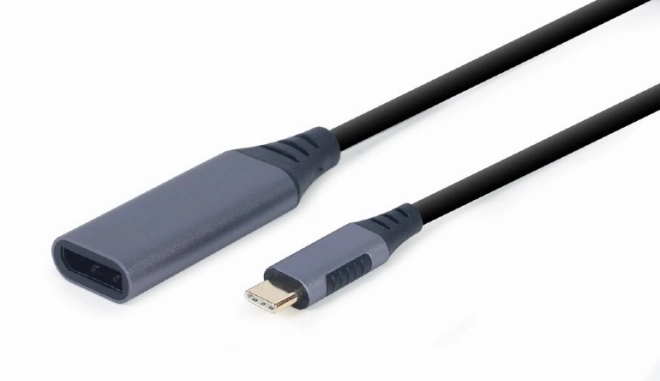 Adattatore USB-C a DisplayPort