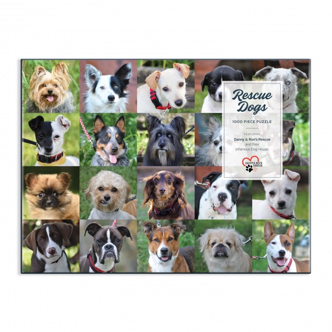 Galison Puzzle Shelter Dogs 1000 Pieces