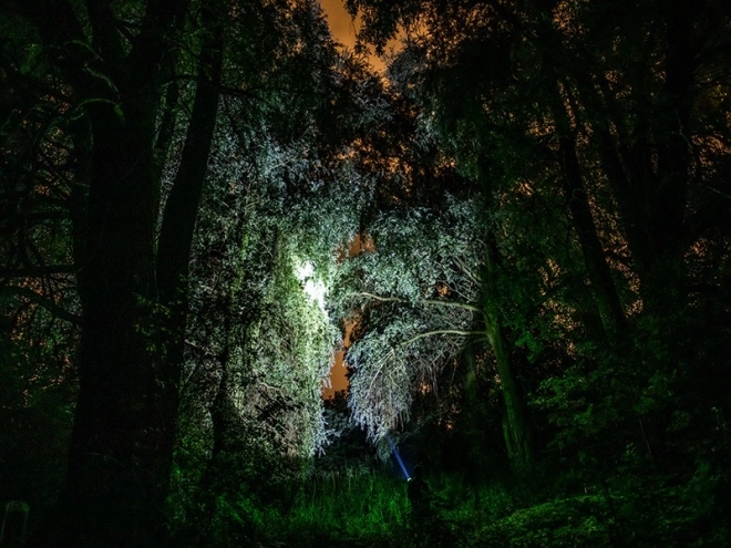 Green tactical flashlight with power bank