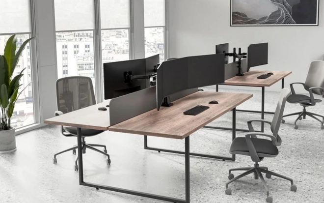 Neomounts Triple Monitor Arm DS60-600BL3