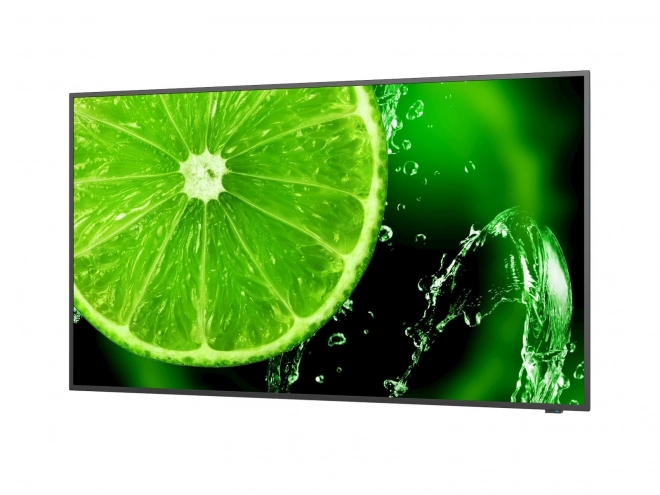 Multisync E328-2 32 Inch FHD Monitor