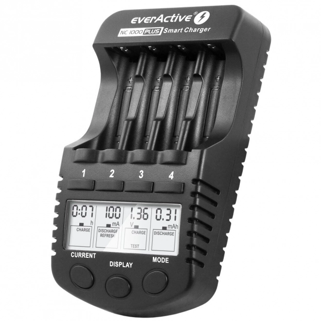 Professional Charger for AA/AAA Batteries