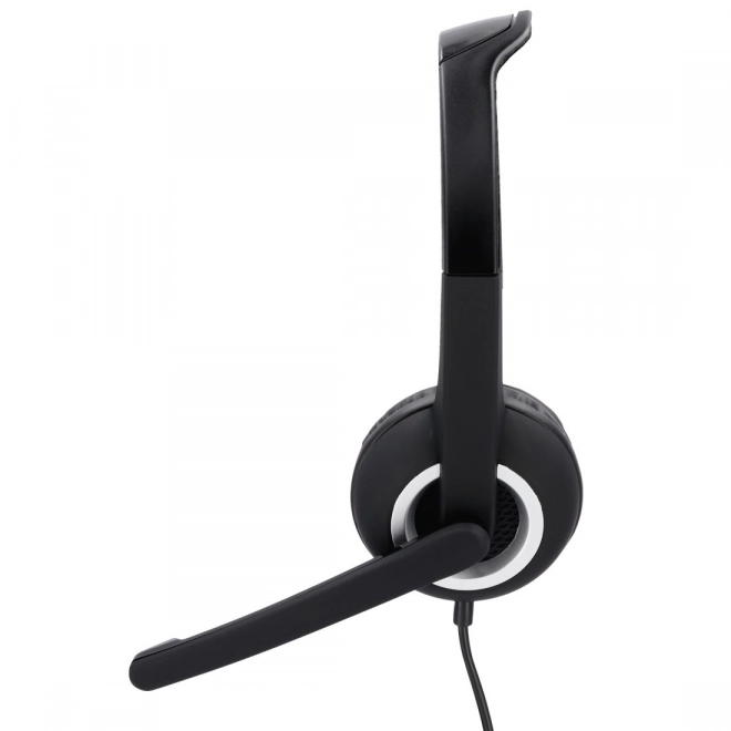 Black Multimedia Headphones