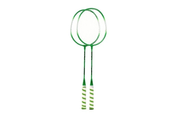 Badminton Set With Aluminum Rackets In Case