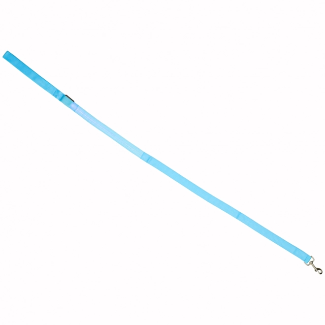Leuchtende LED-Hundeleine Blau