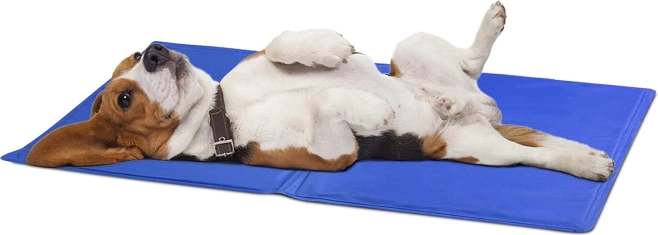 Samohladni gel do 4 sata