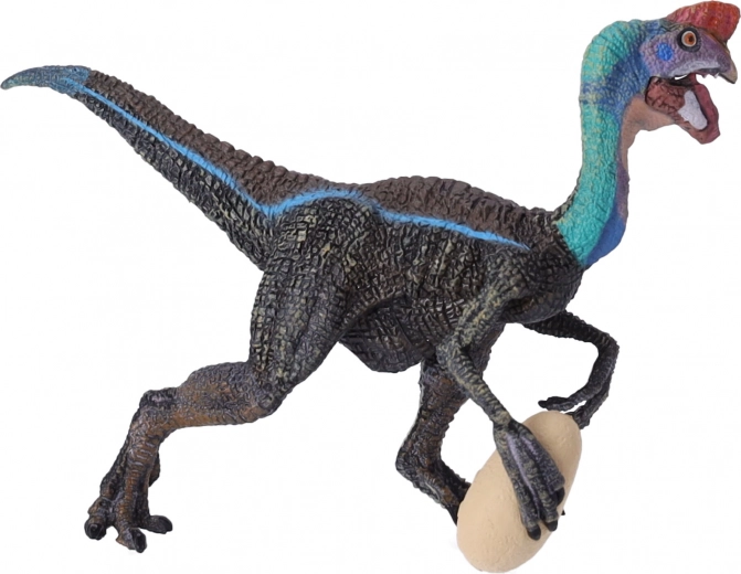 Ideal für Bildung und Sammlung