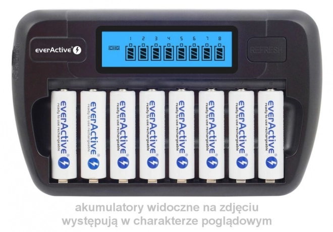 Professional battery charger for AA/AAA batteries