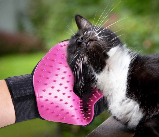 Pet Grooming Glove