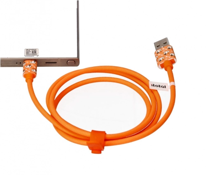 USB-C Cable with Orange Cat