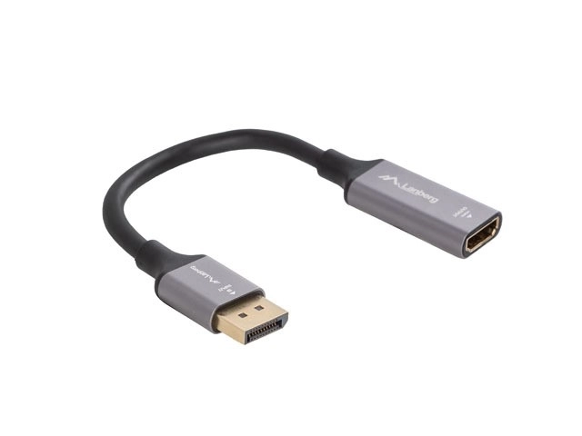 DisplayPort to HDMI 4K Adapter 20cm Silver