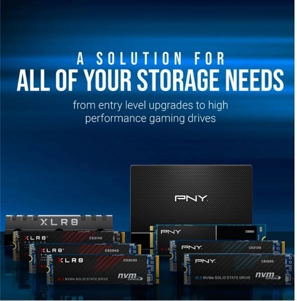 Pny 1TB M.2 NVMe SSD