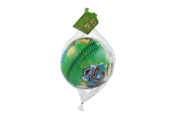 Paw Patrol Ball