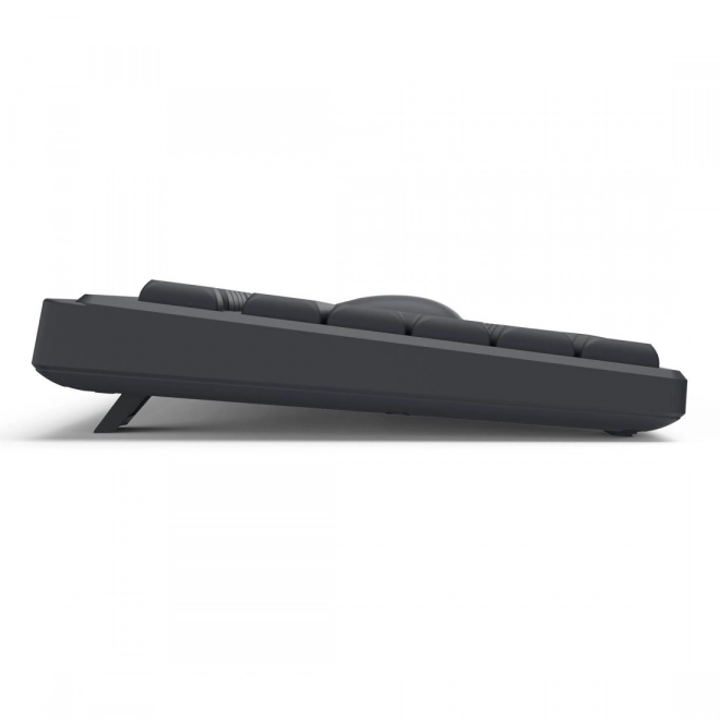 Wireless Keyboard and Mouse Hama WKM-100 Black