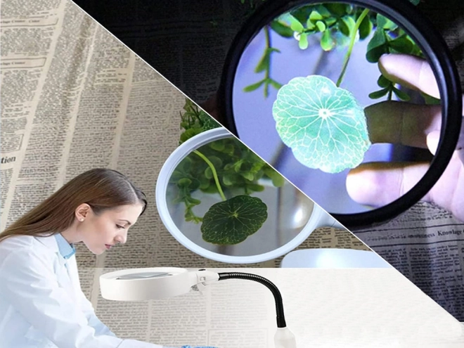 LED Cosmetic Magnifying Lamp