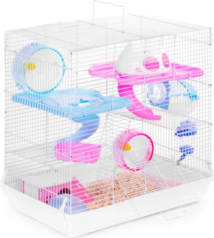 Multi-level fun and exercise