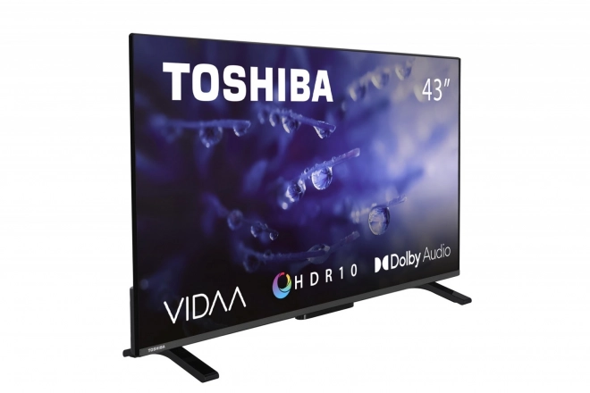 43" LED TV 43LV2E63DG