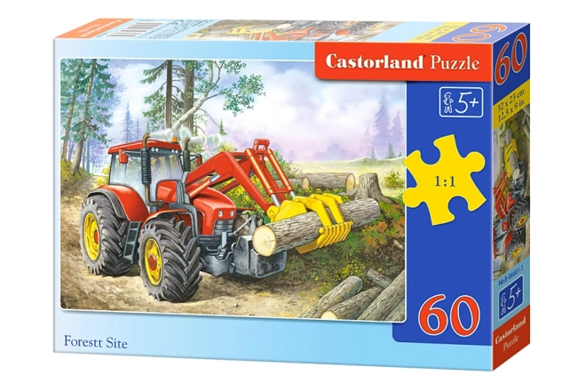 Colorful Forest Site Puzzle
