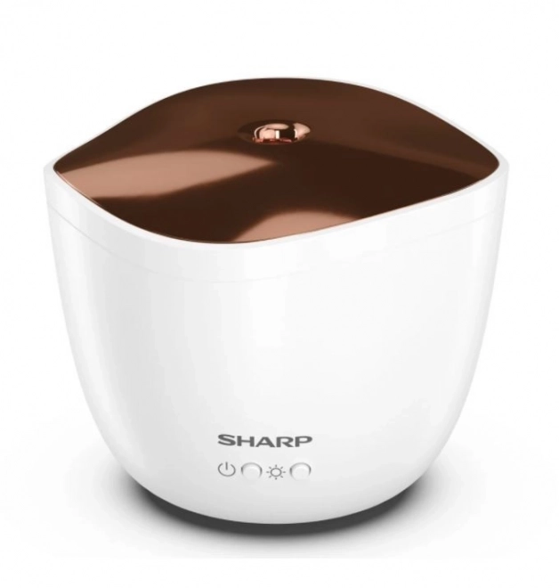 Ultrasonic Aroma Diffuser with Rose Gold Metallic Cover