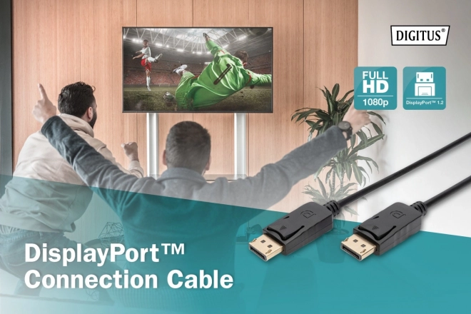 DisplayPort Connection Cable with Latches