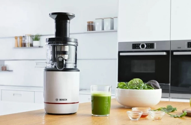 Slow Juicer with BPA-Free Parts